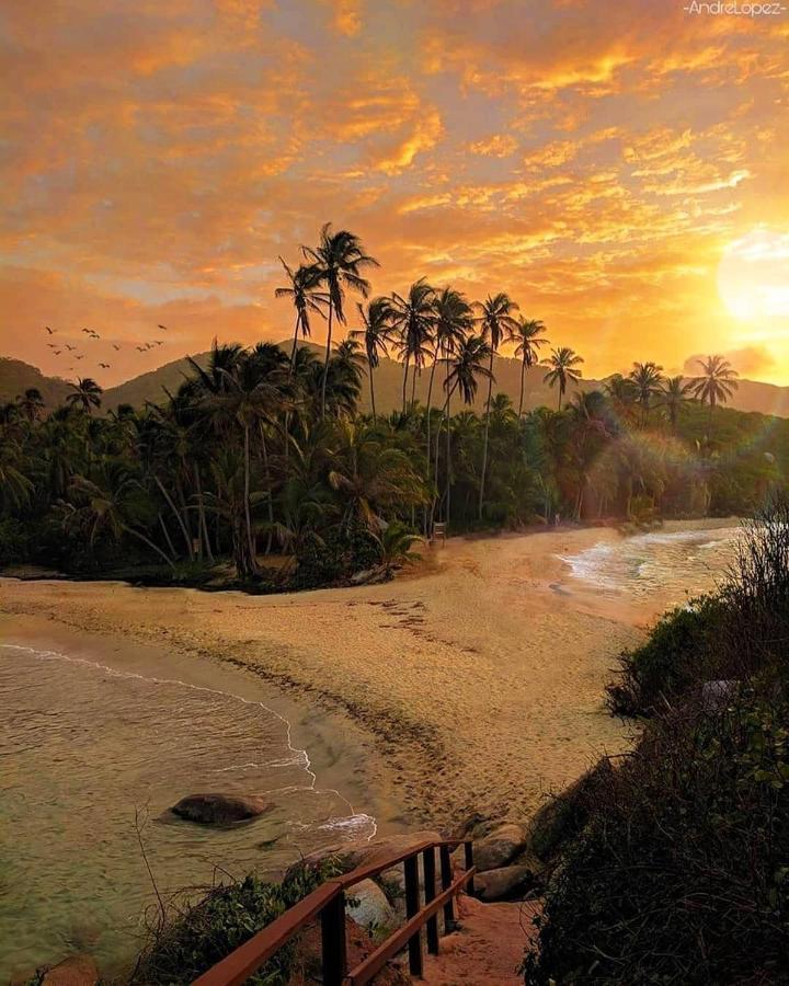 Hotel Jasayma Dentro Del Parque Tayrona Ел Заино Екстериор снимка