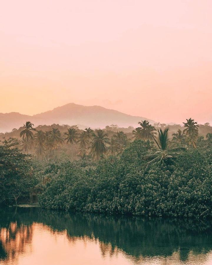 Hotel Jasayma Dentro Del Parque Tayrona Ел Заино Екстериор снимка