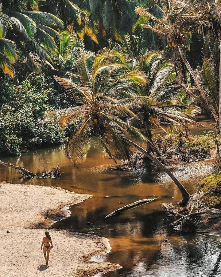 Hotel Jasayma Dentro Del Parque Tayrona Ел Заино Екстериор снимка
