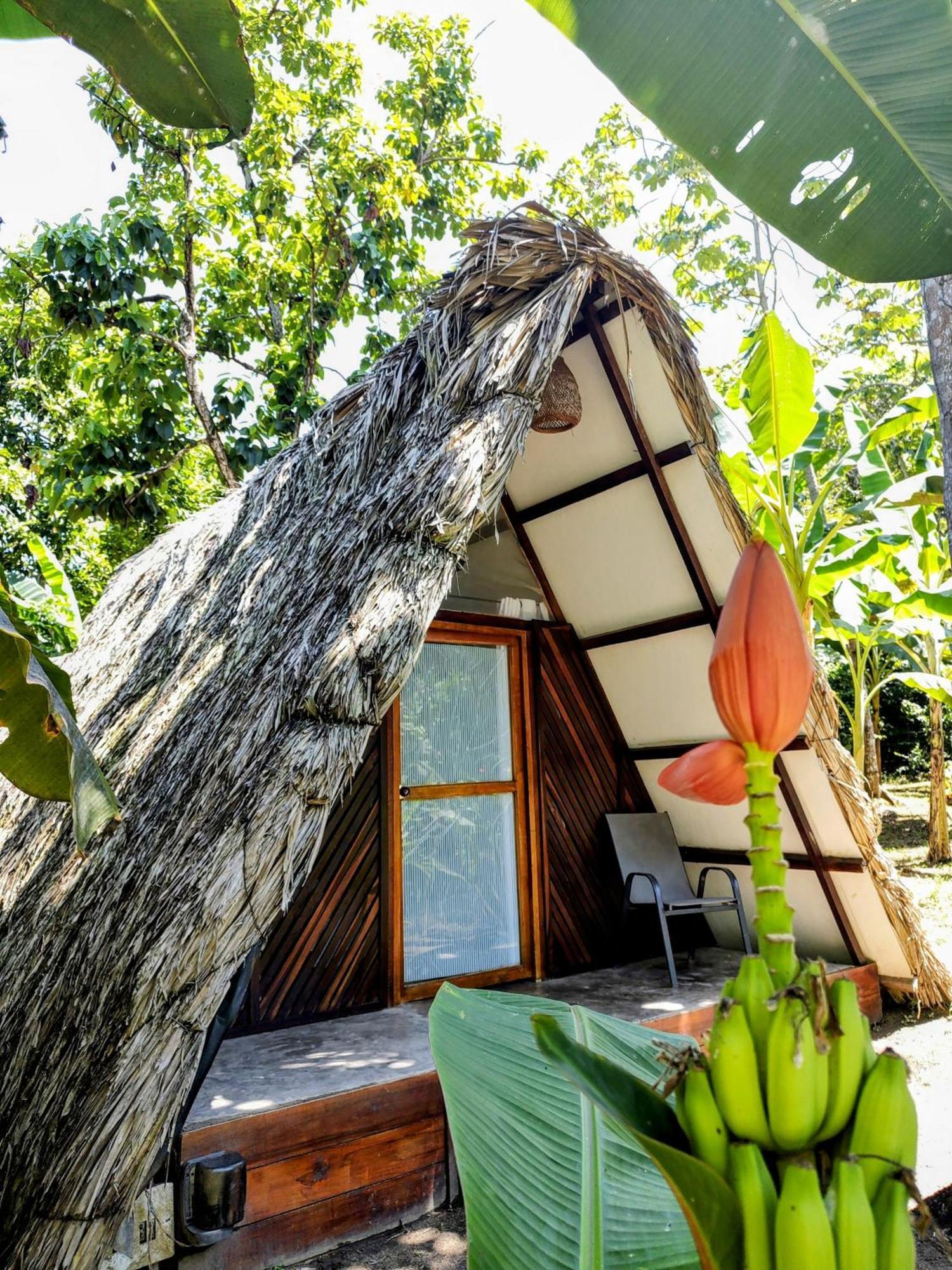 Hotel Jasayma Dentro Del Parque Tayrona Ел Заино Екстериор снимка
